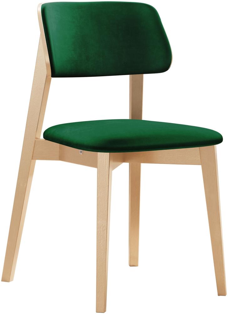 Esszimmerstuhl Taskir C, Stuhl aus Buchenholz für Küche, Restaurant (Buche / Magic Velvet 2225) Bild 1