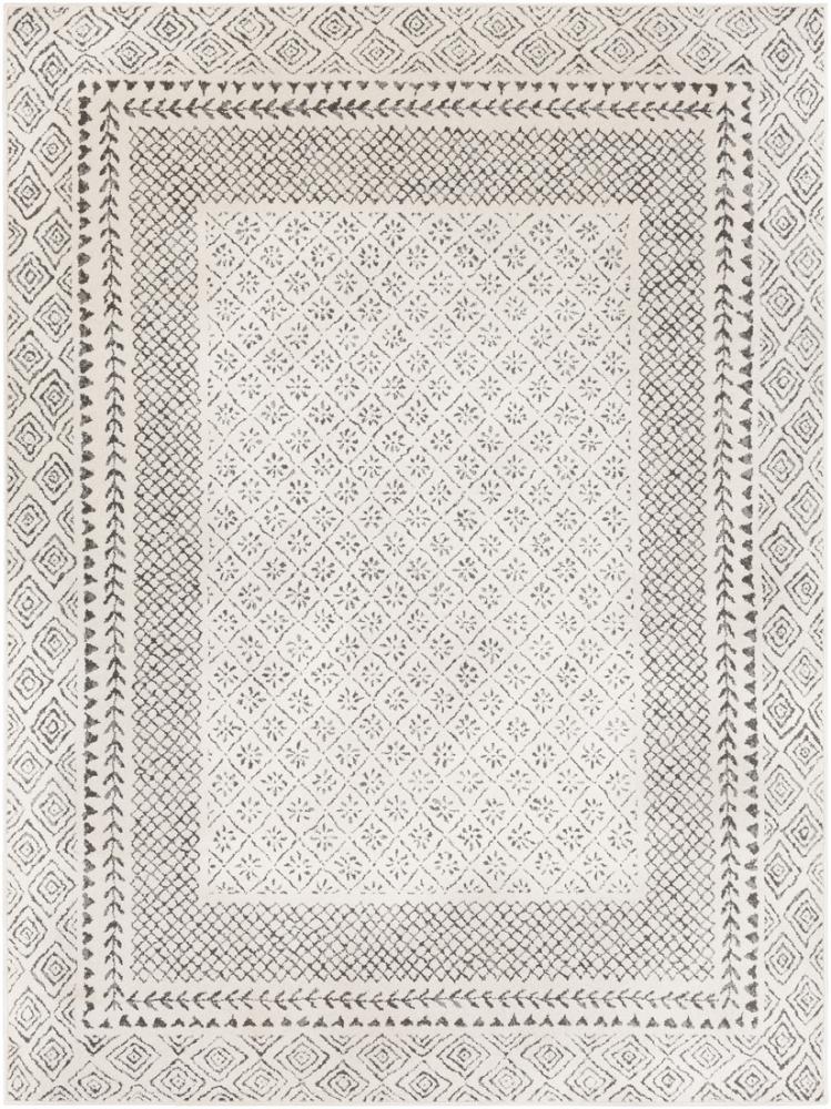 Surya AMBRE Teppich Beige 200 cm 274 cm 200x274cm Bild 1