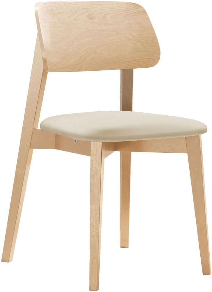 Esszimmerstuhl Taskir, Stuhl aus Buchenholz für Küche, Restaurant (Buche / Magic Velvet 2250) Bild 1
