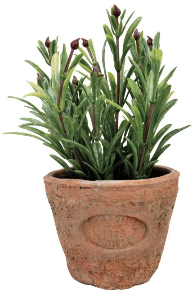 3 Stück Esschert Design Kunststoffpflanze Rosmarin im Topf, Größe S, ca. 8,6 cm 8,6 cm x 17 cm Bild 1