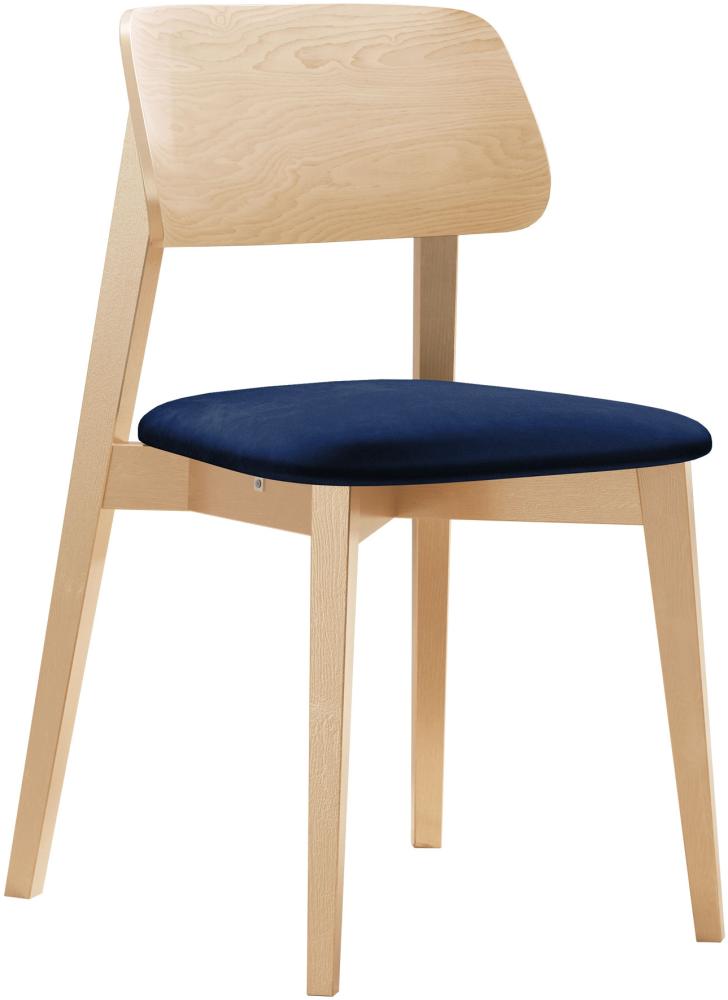 Esszimmerstuhl Taskir, Stuhl aus Buchenholz für Küche, Restaurant (Buche / Magic Velvet 2216) Bild 1