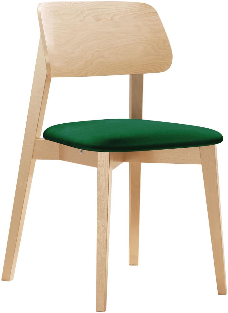 Esszimmerstuhl Taskir, Stuhl aus Buchenholz für Küche, Restaurant (Buche / Magic Velvet 2225) Bild 1