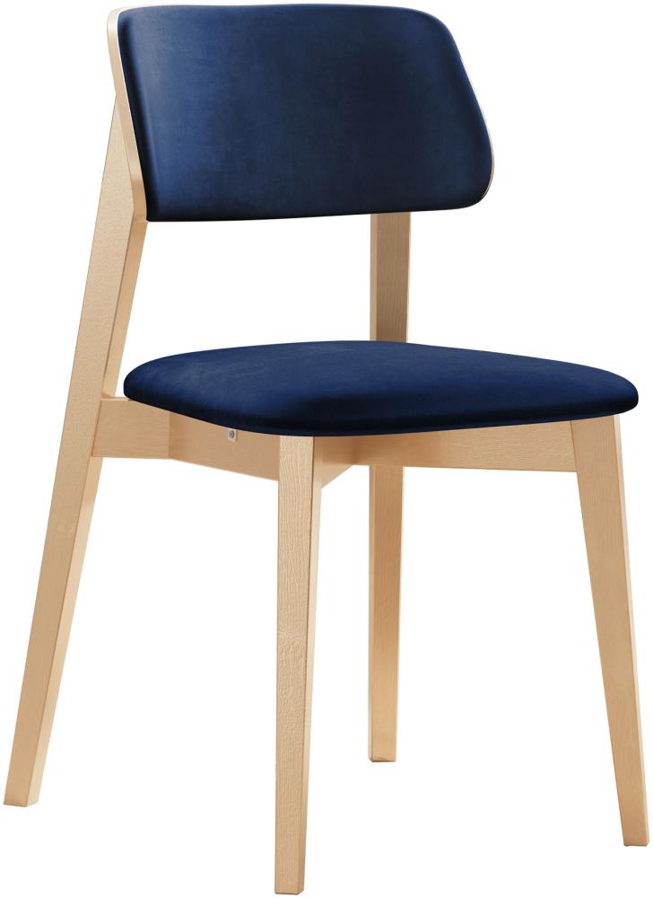Esszimmerstuhl Taskir C, Stuhl aus Buchenholz für Küche, Restaurant (Buche / Magic Velvet 2216) Bild 1