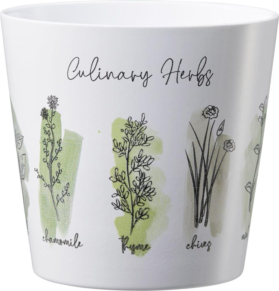 Scheurich Übertopf Culinary Herbs Ø 14 x 13,2 cm weiß-grün Bild 1
