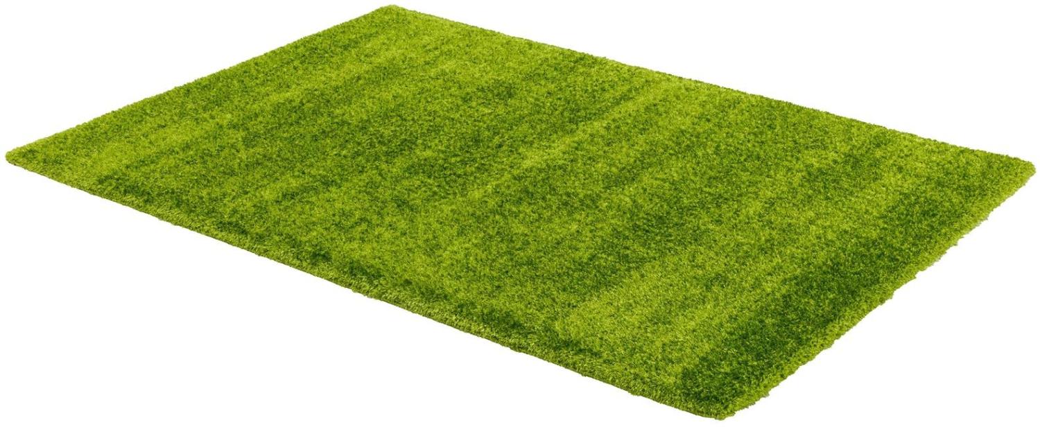 Teppich in Grün aus 100% Polyester - 290x200x4,2cm (LxBxH) Bild 1