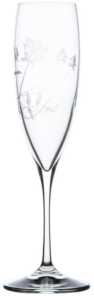 Sektglas Kristall Liane clear (23,8 cm) Bild 1