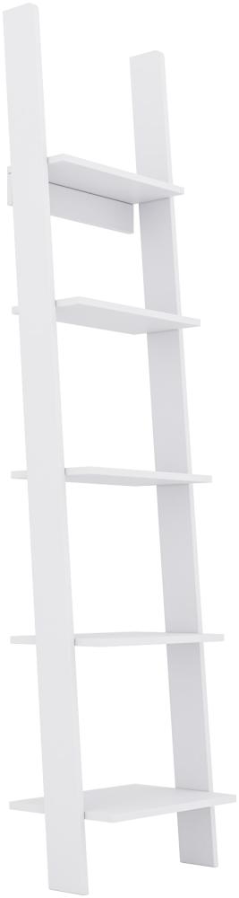 Domando Leiterregal Pienza M1 Modern für Wohnzimmer Breite 45cm, tolles Leiterdesign in Weiß Matt Bild 1