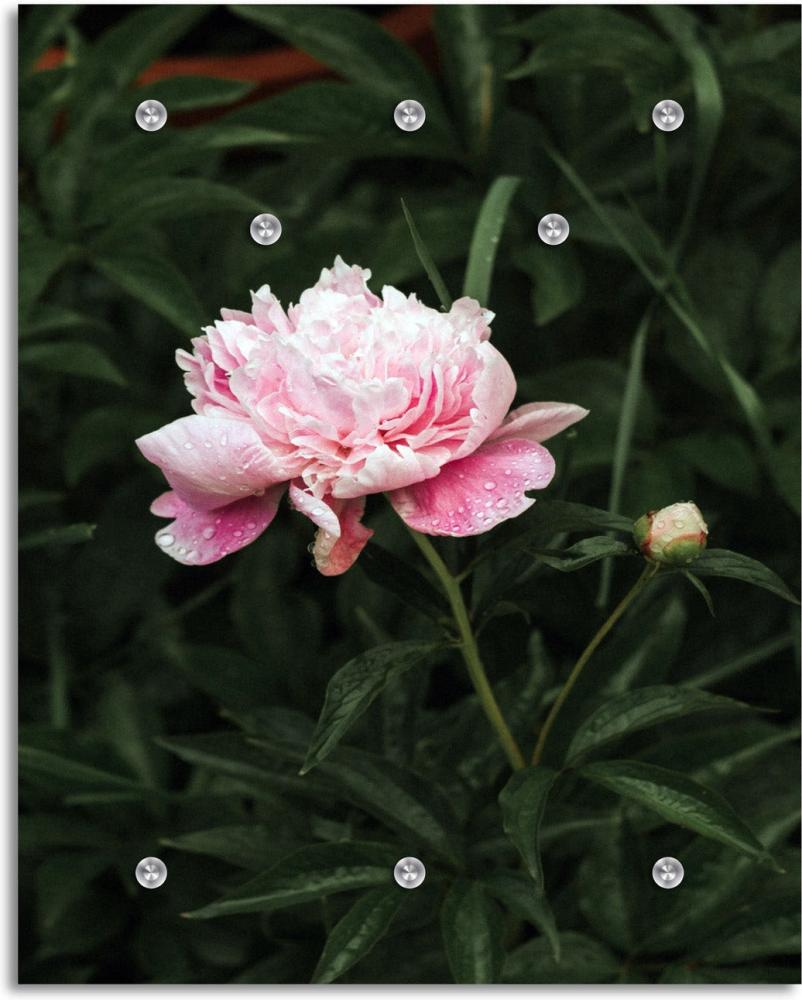Queence Garderobe - "New Rose" Druck auf hochwertigem Arcylglas inkl. Edelstahlhaken und Aufhängung, Format: 100x120cm Bild 1