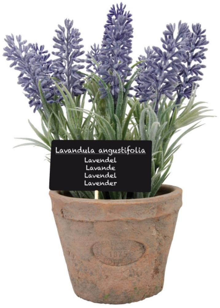 3 Stück Esschert Design Kunststoffpflanze Lavendel im Topf, Größe L, ca. 11 cm x 11 cm cm x 22 cm Bild 1