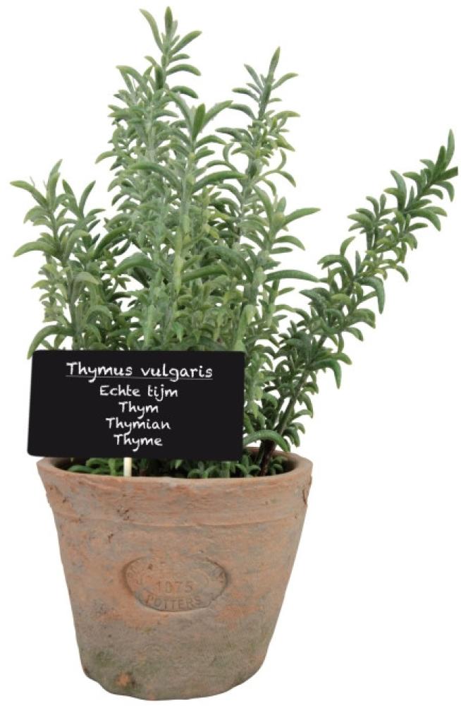 12 Stück Esschert Design Kunststoffpflanze Thymian im Topf, Größe L, ca. 11 cm x 11 cm x 19 cm Bild 1