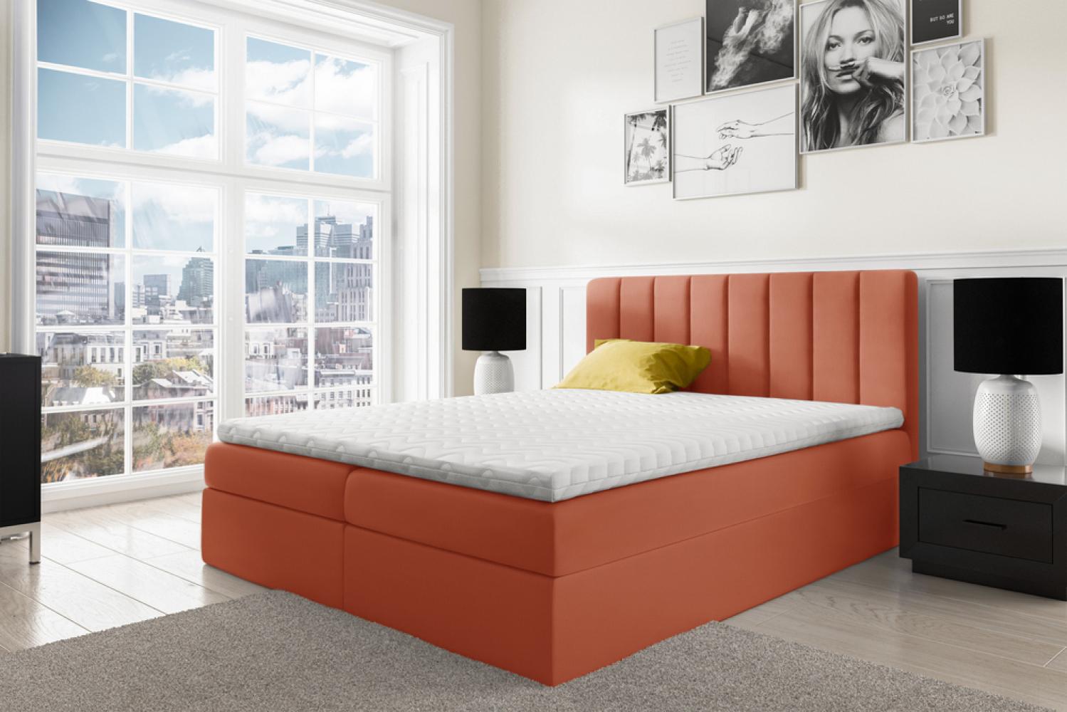 Stylefy 'Arcelia' Boxspringbett, Velours Monolith Orange 200 x 200 cm Bild 1