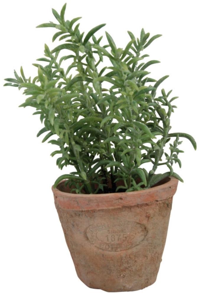 6 Stück Esschert Design Kunststoffpflanze Thymian im Topf, Größe S, ca. 8,6 cm x 8,6 cm x 15 cm Bild 1