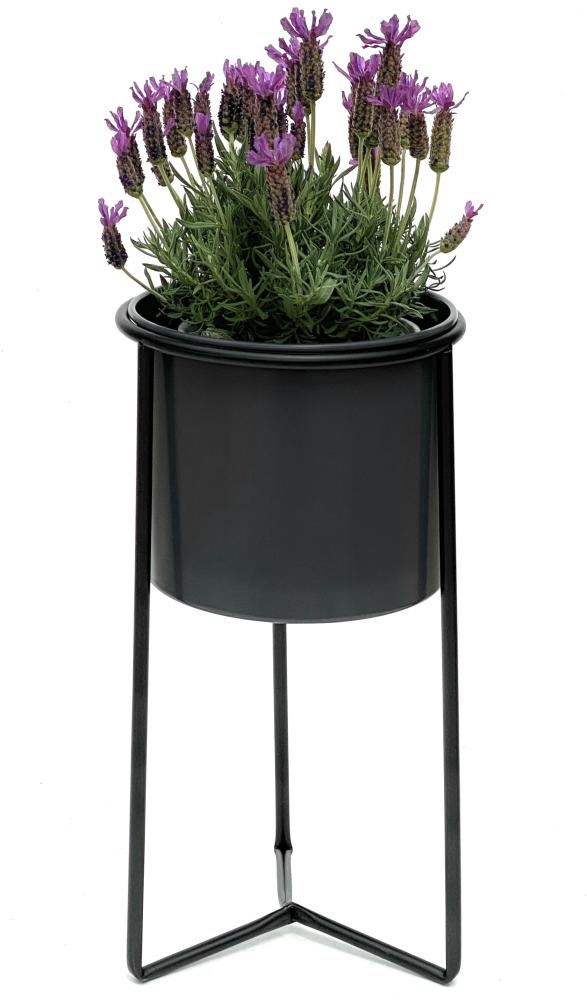 DanDiBo Blumenhocker mit Topf Metall Schwarz Grau S 45 cm Blumenständer 96049 Blumensäule Modern Pflanzenständer Pflanzenhocker Bild 1