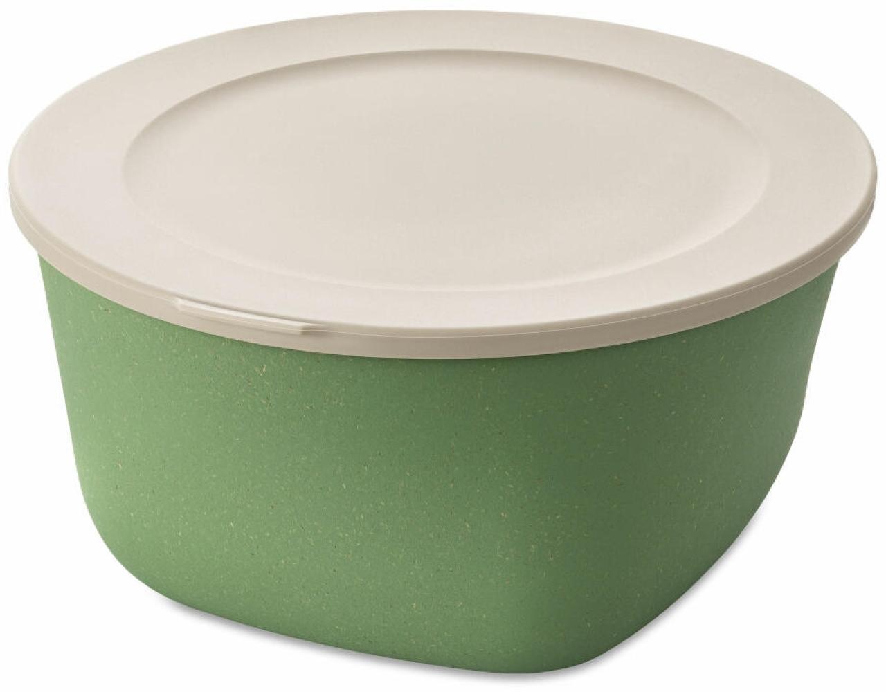 Koziol Dose Connect Box mit Deckel, Schüssel, Schale, Kunststoff-Holz-Mix, Nature Leaf Green, 4 L, 7872703 Bild 1