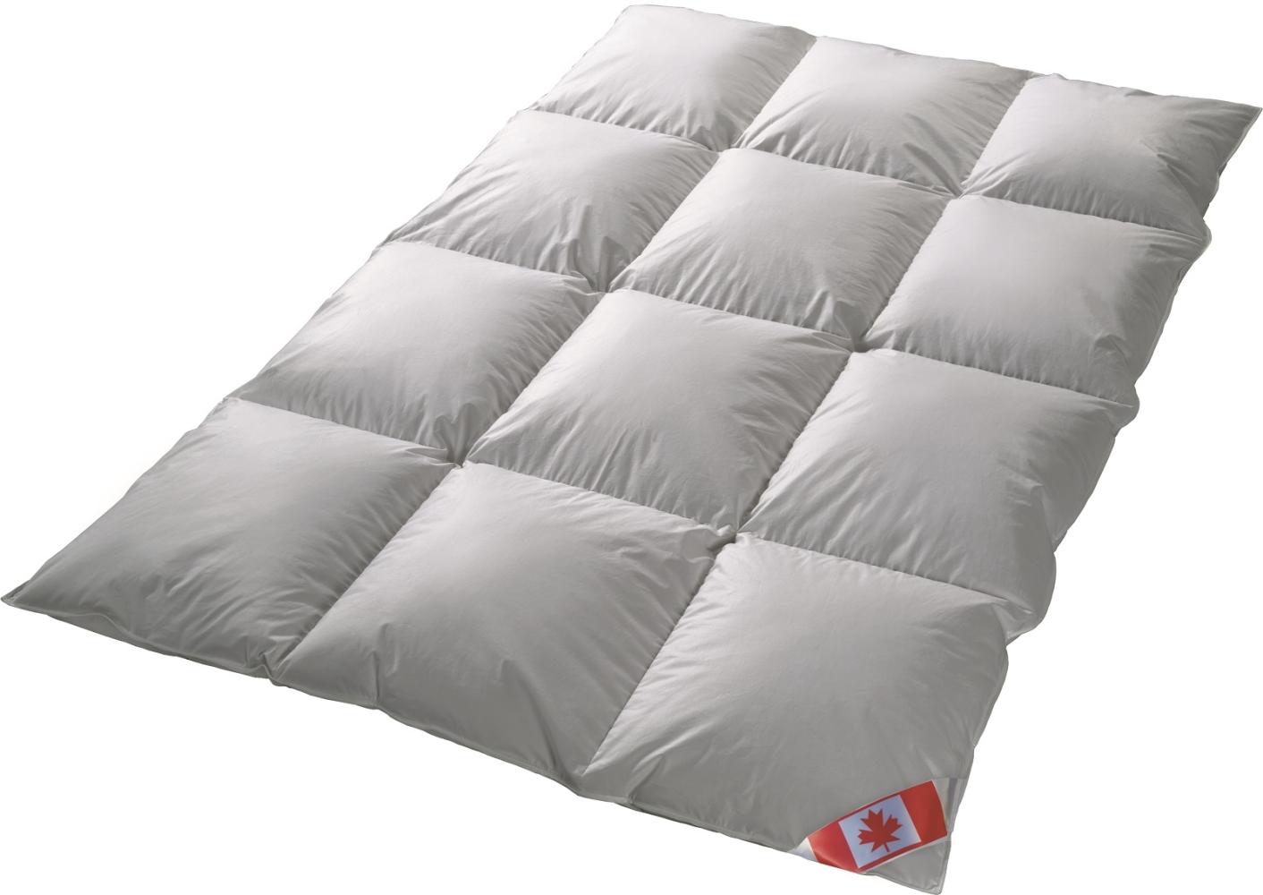 Canada extra warme Winter Decke Kassetten Hochsteg 100% Daune 135x200 cm C5 Bild 1