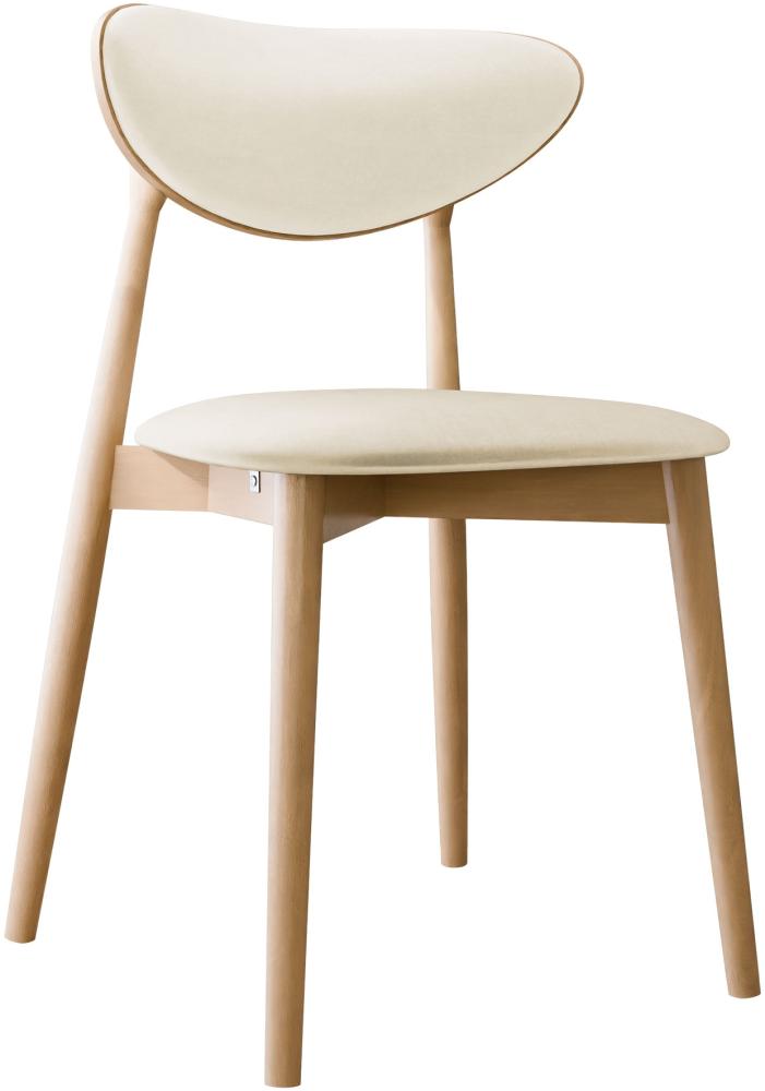 Esszimmerstuhl Bretoka C, Stuhl aus Buchenholz für Küche, Restaurant (Buche / Magic Velvet 2250) Bild 1