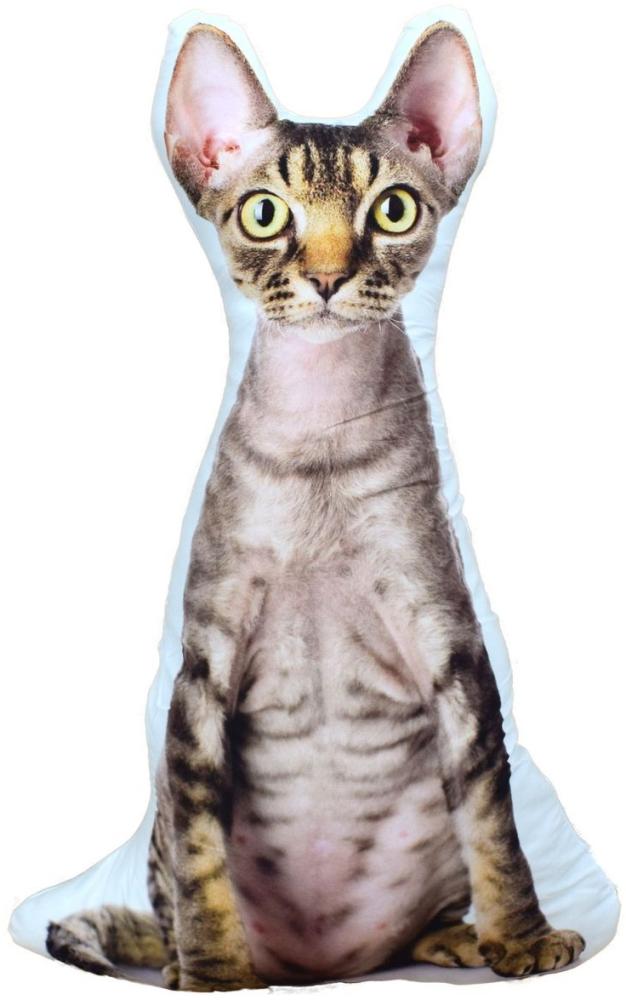 Katze Tom Kissen Kuschelkissen 3D Motiv fotorealistisch 56cm Kater Bild 1
