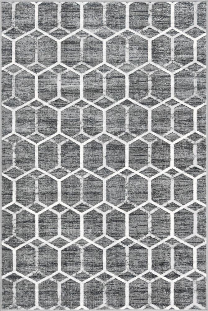 Teppich "TiTan Trellis" Rechteckig Grau verschiedene Größen Bild 1