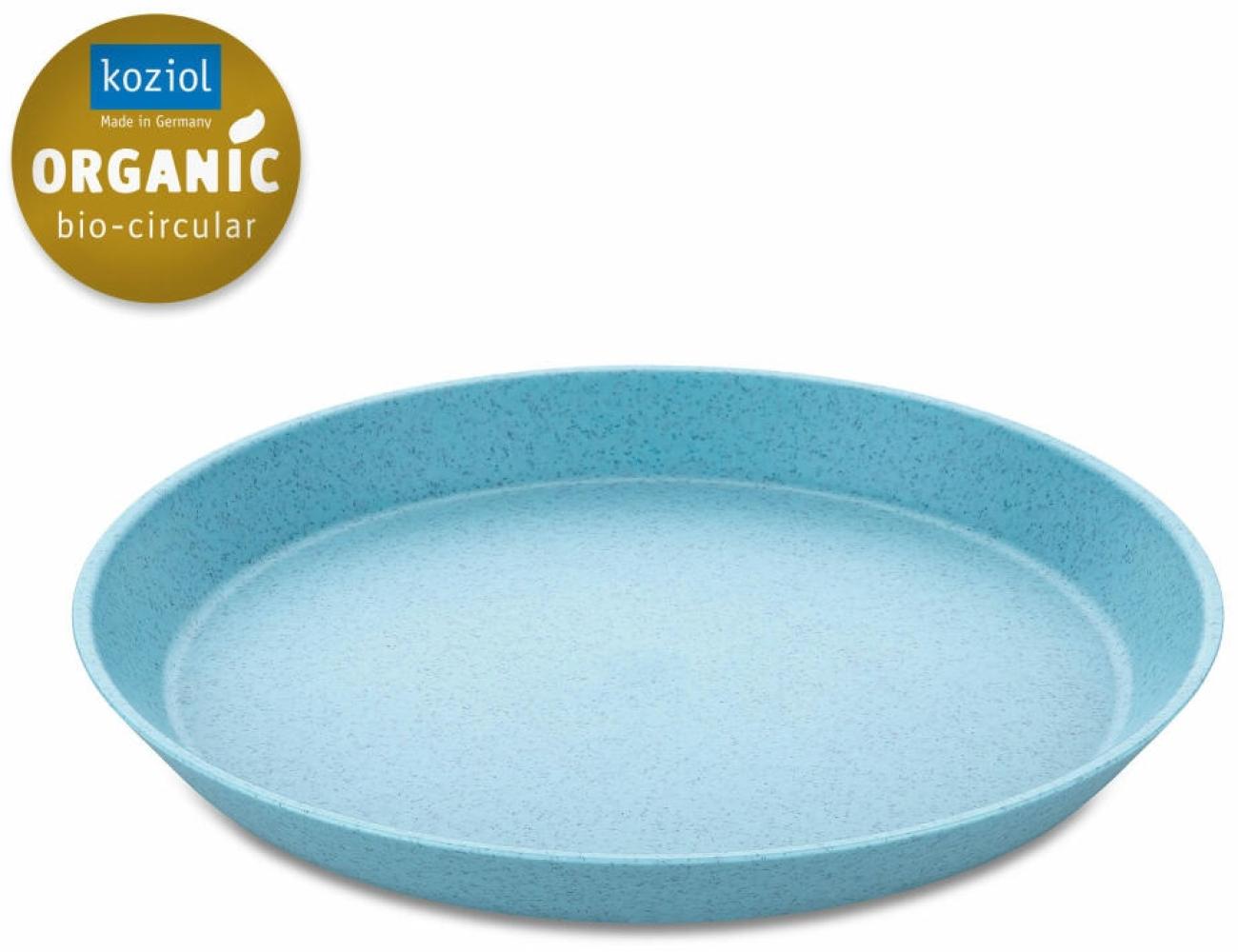 Koziol Kleiner Teller Connect Plate, Kuchenteller, Kunststoff, Organic Frostie Blue, 20. 5 cm, 3100706 Bild 1