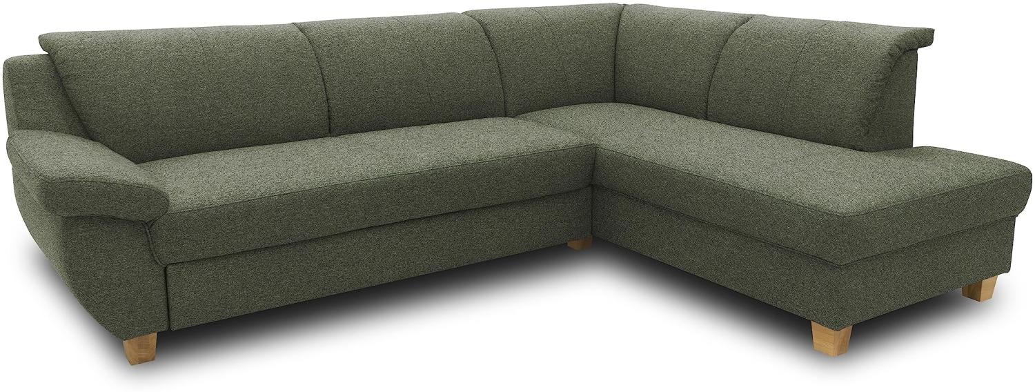 DOMO Collection Ecksofa Panama, klassisches Ecksofa in L-Form, Eckcouch, Sofa Couch, Ecke mit Schlaffunktion 254 x 186 cm in grün Bild 1