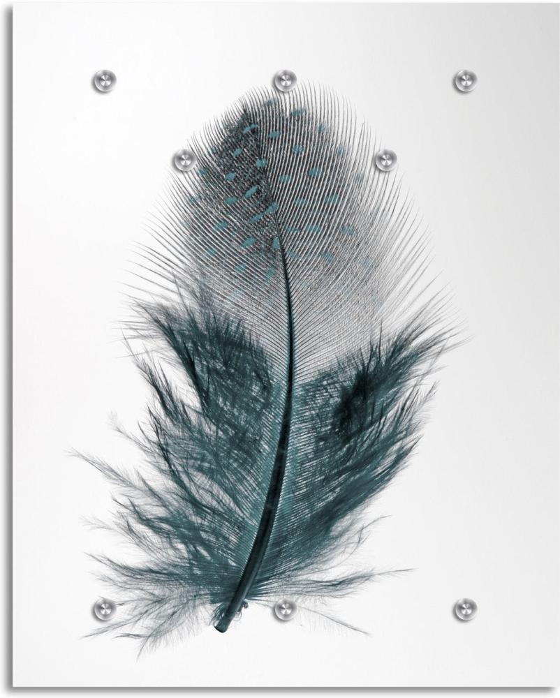 Queence Garderobe - "Black Feather" Druck auf hochwertigem Arcylglas inkl. Edelstahlhaken und Aufhängung, Format: 100x120cm Bild 1
