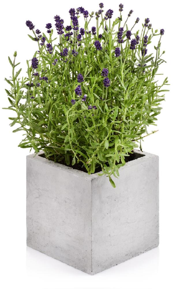 Beske-Manufaktur Beton Blumentopf Kubik M 17x17x17cm Pflanztopf Blumenkübel Pflanzgefäß Bild 1