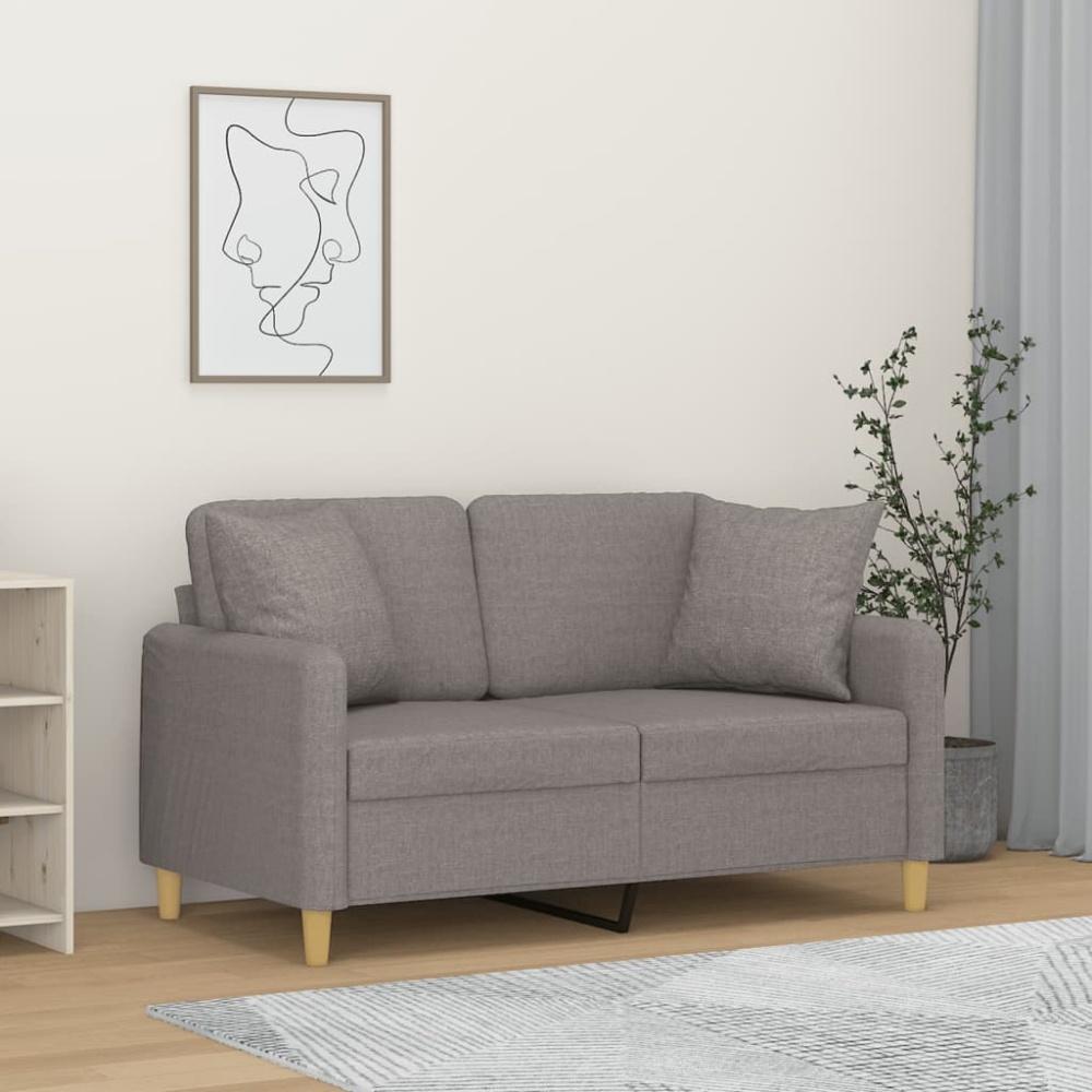 vidaXL 2-Sitzer-Sofa mit Zierkissen Hellgrau 120 cm Stoff Bild 1