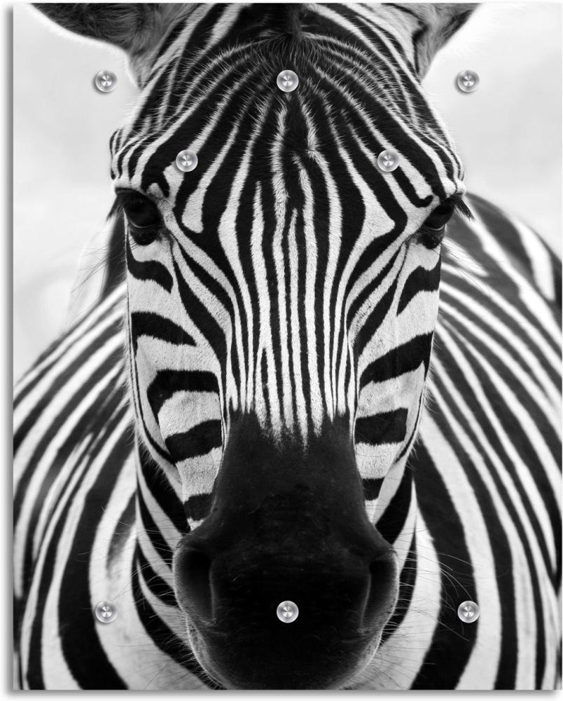 Queence Garderobe - "Zebra" Druck auf hochwertigem Arcylglas inkl. Edelstahlhaken und Aufhängung, Format: 100x120cm Bild 1