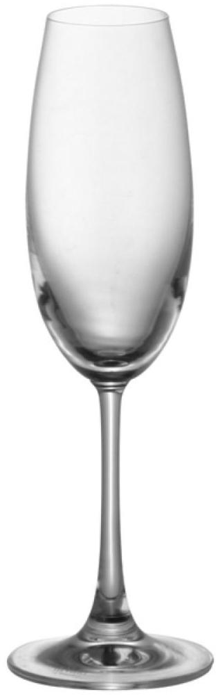 Thomas DiVino Champagnerglas, Sektglas, Proseccoglas, Spülmaschinenfest, 220 ml, 48071 Bild 1