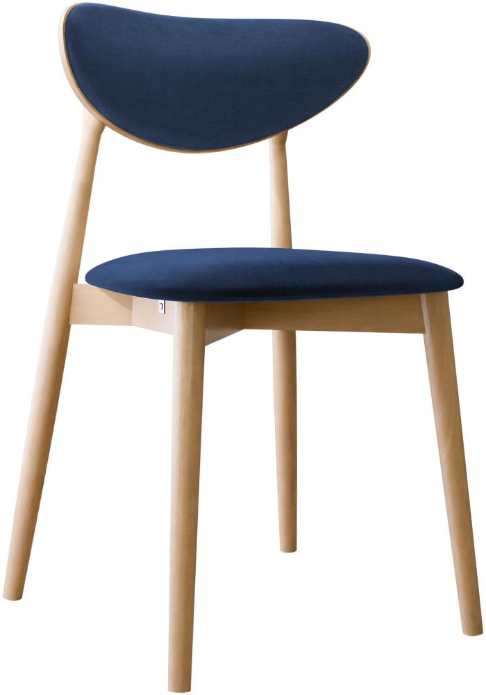 Esszimmerstuhl Bretoka C, Stuhl aus Buchenholz für Küche, Restaurant (Buche / Magic Velvet 2216) Bild 1