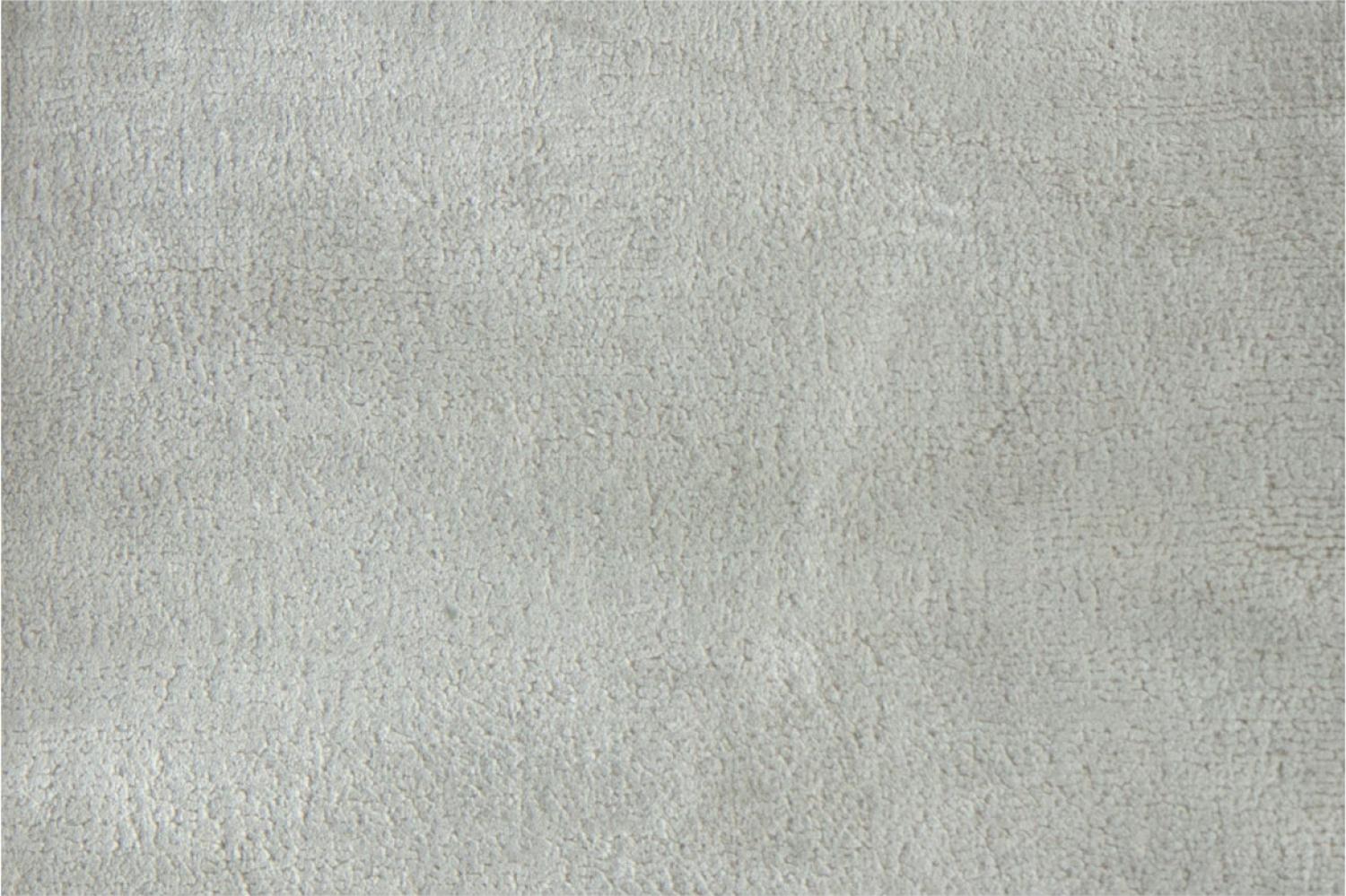 Casa Padrino Luxus Wohnzimmer Teppich Silber-Beige 300 x 400 cm - Rechteckiger Viskose Teppich - Luxus Qualität - Wohnzimmer Deko Accessoires Bild 1