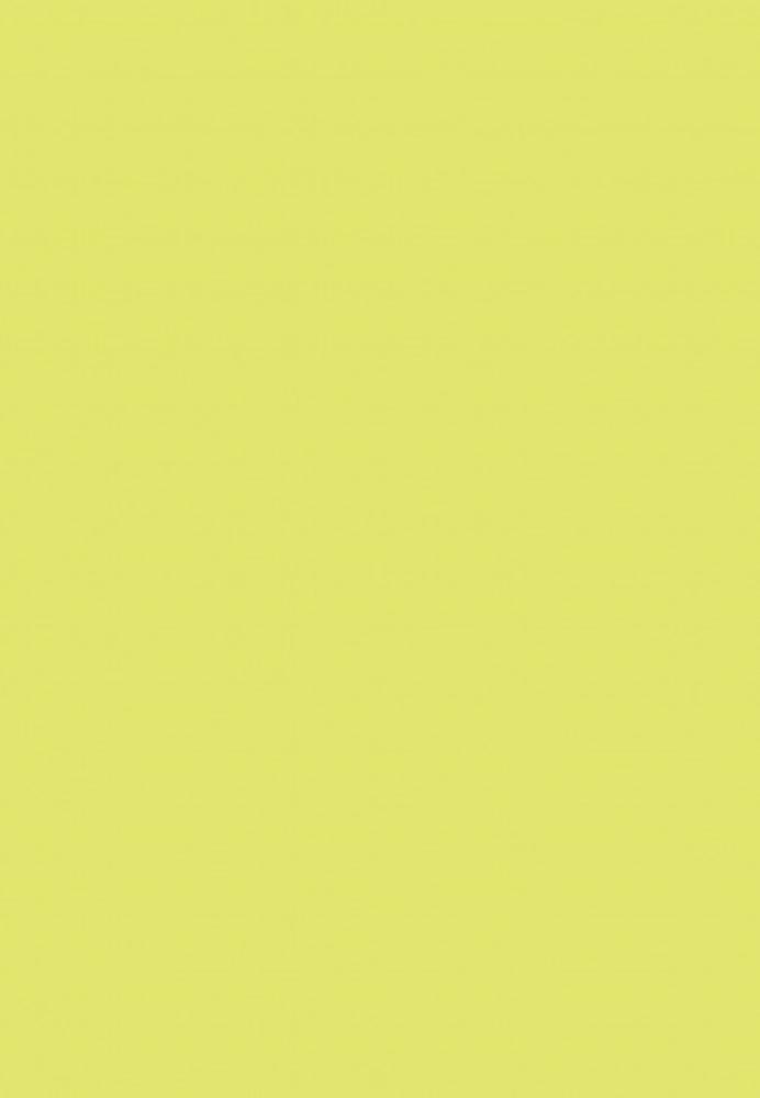 Schlafgut - Jersey-Elasthan Kissenbezug verschiedene Größen und Farben : 185 - Kiwi : 80 x 80 cm Bild 1