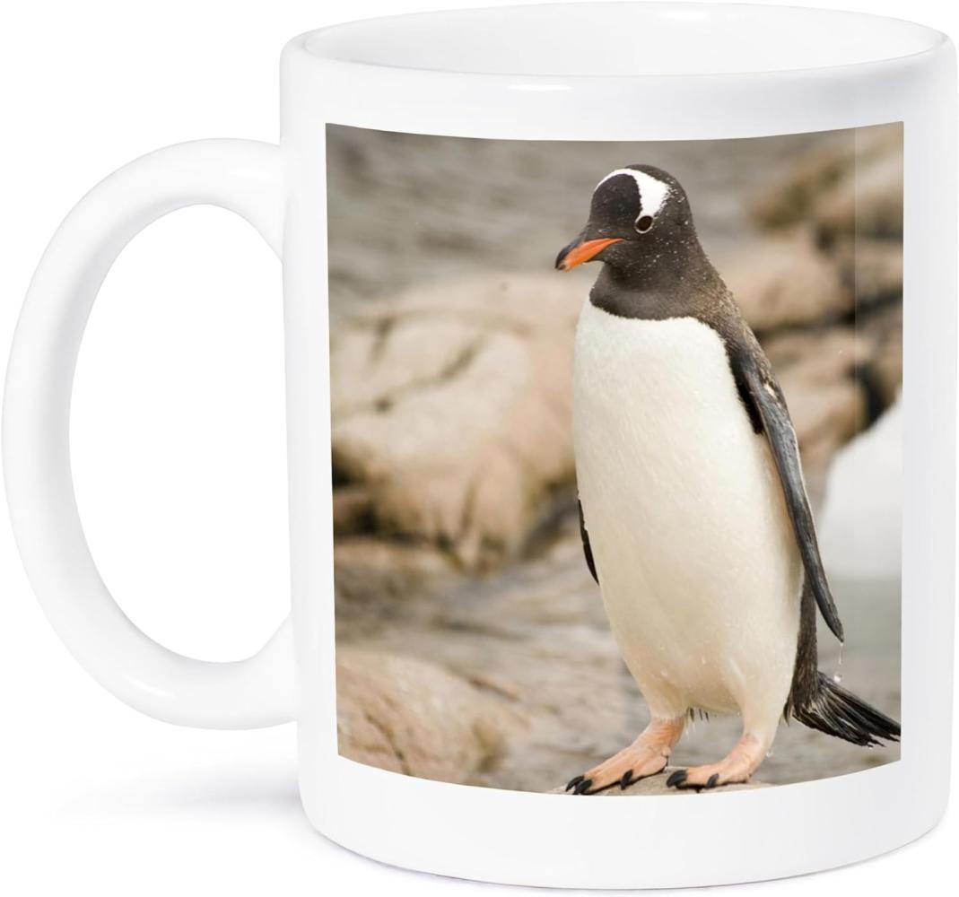3dRose Erwachsene der Antarktis Gentoo Penguins Rocky shoreline-an01 dbr0045-dave bartruff Kaffeebecher, Keramik, Mehrfarbig, 12,7 cm x 11,43 x Stollen Bild 1