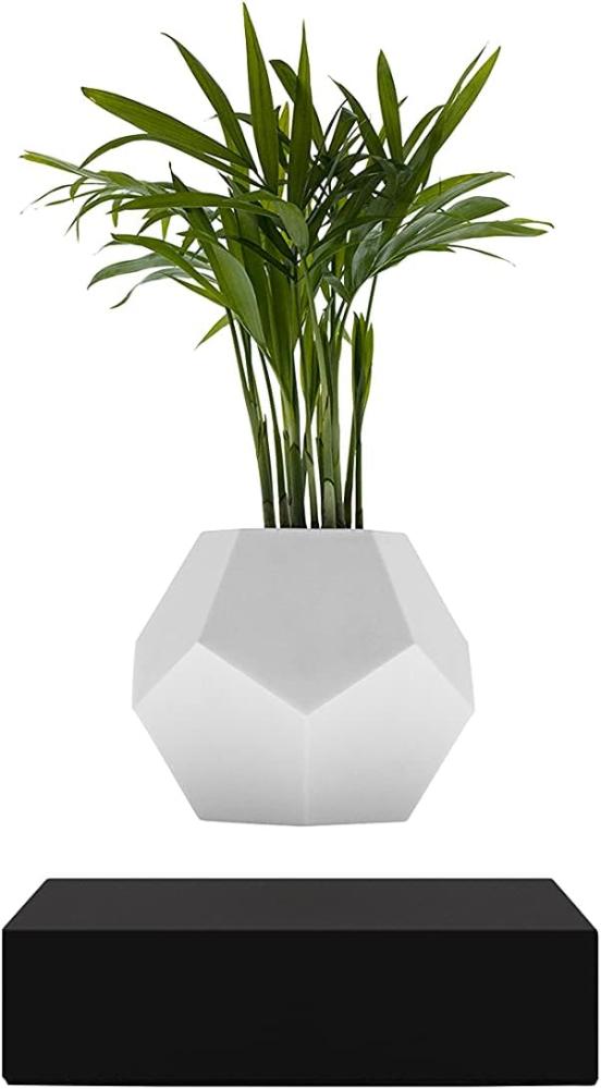 FLYTE - Lyfe schwebender Blumentopf für Luftpflanzen, weißer Topf, schwarze Basis Bild 1