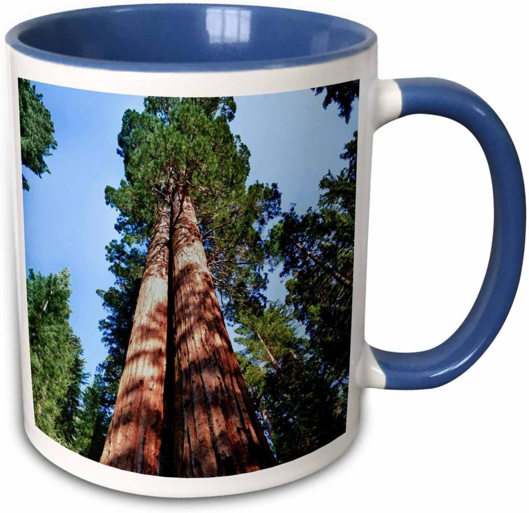 3dRose Frau, Sequoia Baum, Yosemite, Kalifornien, usa-us05 mwi0013-mark williford-Two Ton Tasse, Keramik, Blau, 10,2 x 7,62 x 9,52 cm Bild 1