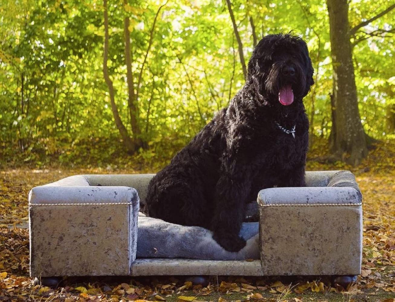 Casa Padrino Luxus Hundebett Grau Muster / Dunkelbraun / Grau 120 x 90 x H. 37 cm - Modernes Rechteckiges Hundebett mit Kissen - Luxus Hundemöbel - Luxus Tiermöbel Bild 1
