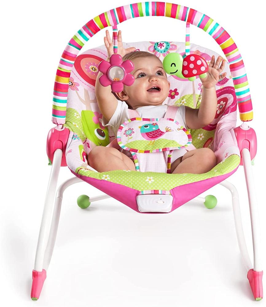Bright Starts, Wippe für Babies und Kleinkinder, Raspberry Garden Bild 1