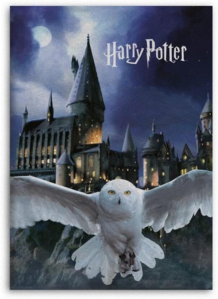 Harry Potter Fleecedecke Schmusedecke Kuscheldecke 100 x 140 cm Bild 1