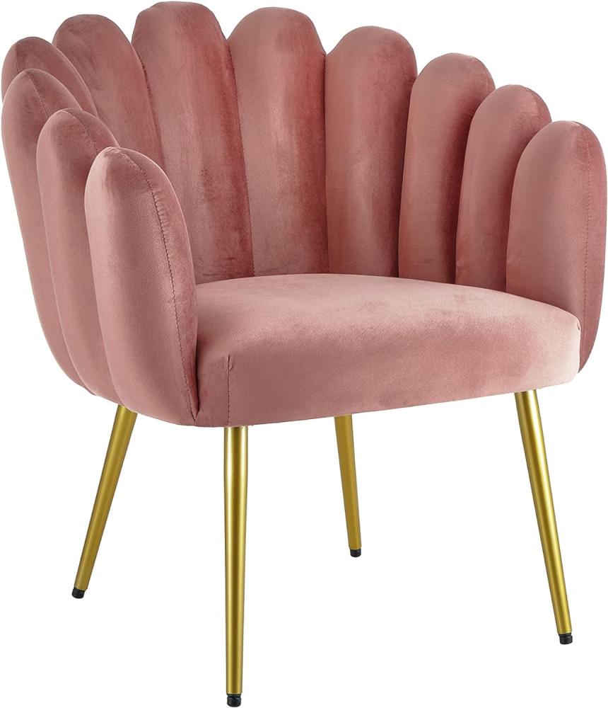 Baroni Home Gepolsterter Sessel mit Muschel-Rückenlehne aus Samt mit goldenen Beinen aus Eisen, Stuhl für Wohnzimmer oder Schlafzimmer, 67 x 64 x 77 cm, Puderbeine in Goldfarben Bild 1