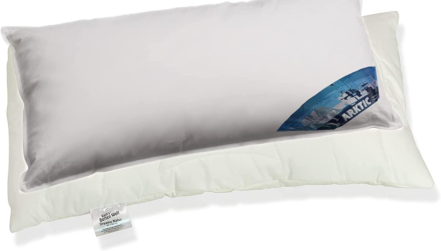 Neuheit Feder-Daunenkissen mit Schonbezug Arktic Kissen Dreams LT Natur extra Komfort 40x80 cm Bild 1