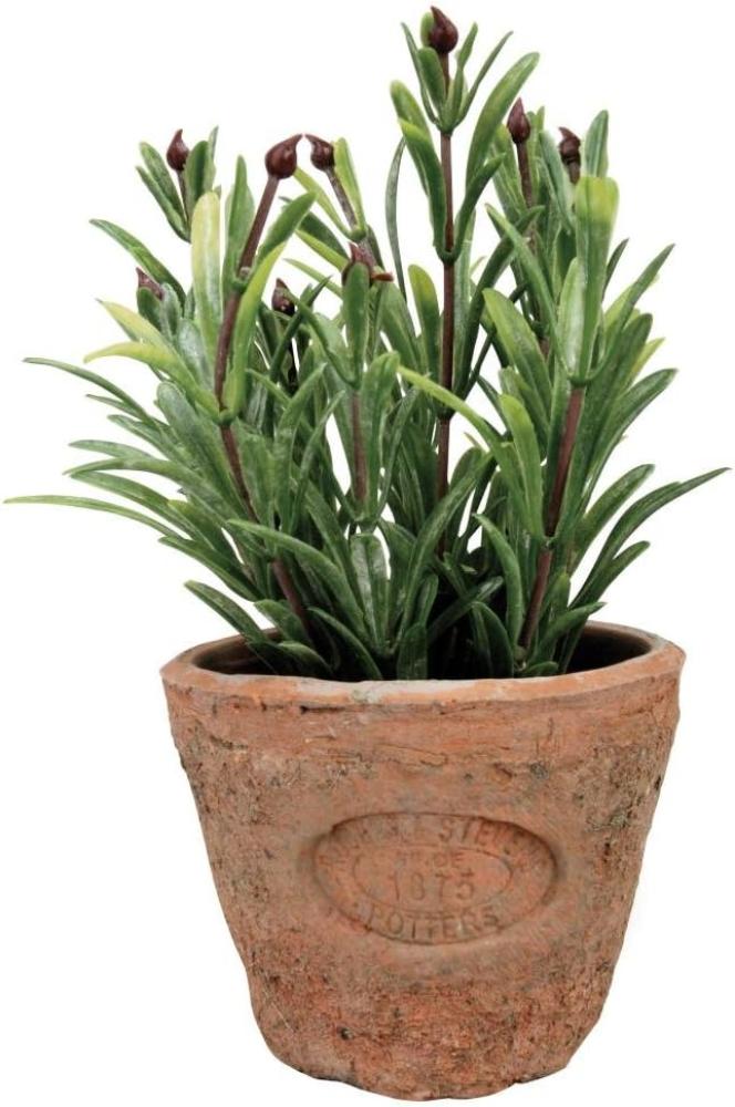 Esschert Design Kunststoffpflanze Rosmarin im Topf, Größe S, ca. 8,6 cm 8,6 cm x 17 cm Bild 1