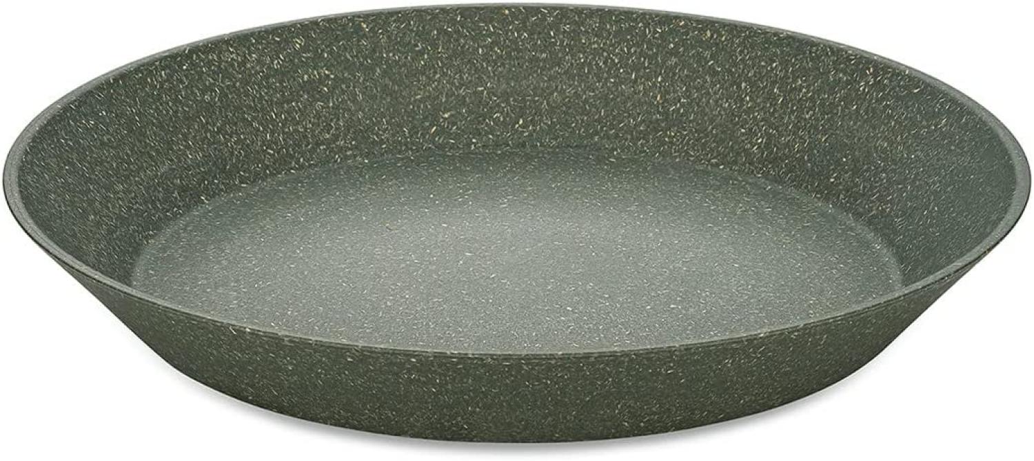 Koziol Tiefer Teller 4er-Set Connect Plate, Suppenteller, Schalen, Kunststoff-Holz-Mix, Nature Ash Grey, 24 cm, 7143701 Bild 1