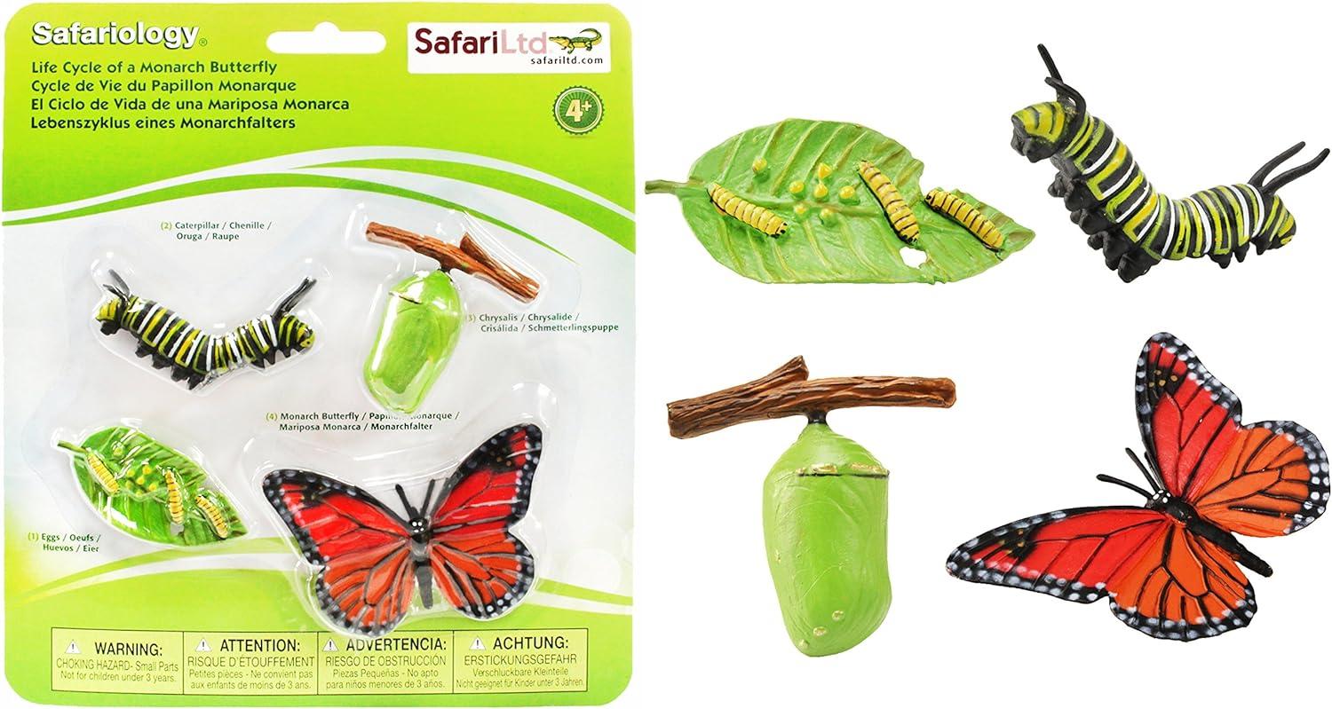 Safari spielset Lebenszyklus Monarch Schmetterling Junior 4-teilig Bild 1