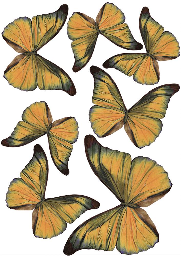 Plage 3D Charming Butterfly Stickers Golden [7 Butterflies Between 8 x 6,5 cm and 14 x 11 cm], Plastik, orange, 14 x 0.1 x 11 cm, 7-Einheiten Bild 1