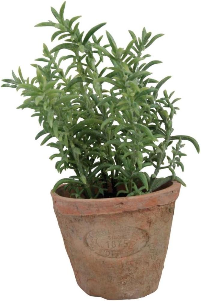 Esschert Design Kunststoffpflanze Thymian im Topf, Größe S, ca. 8,6 cm x 8,6 cm x 15 cm Bild 1