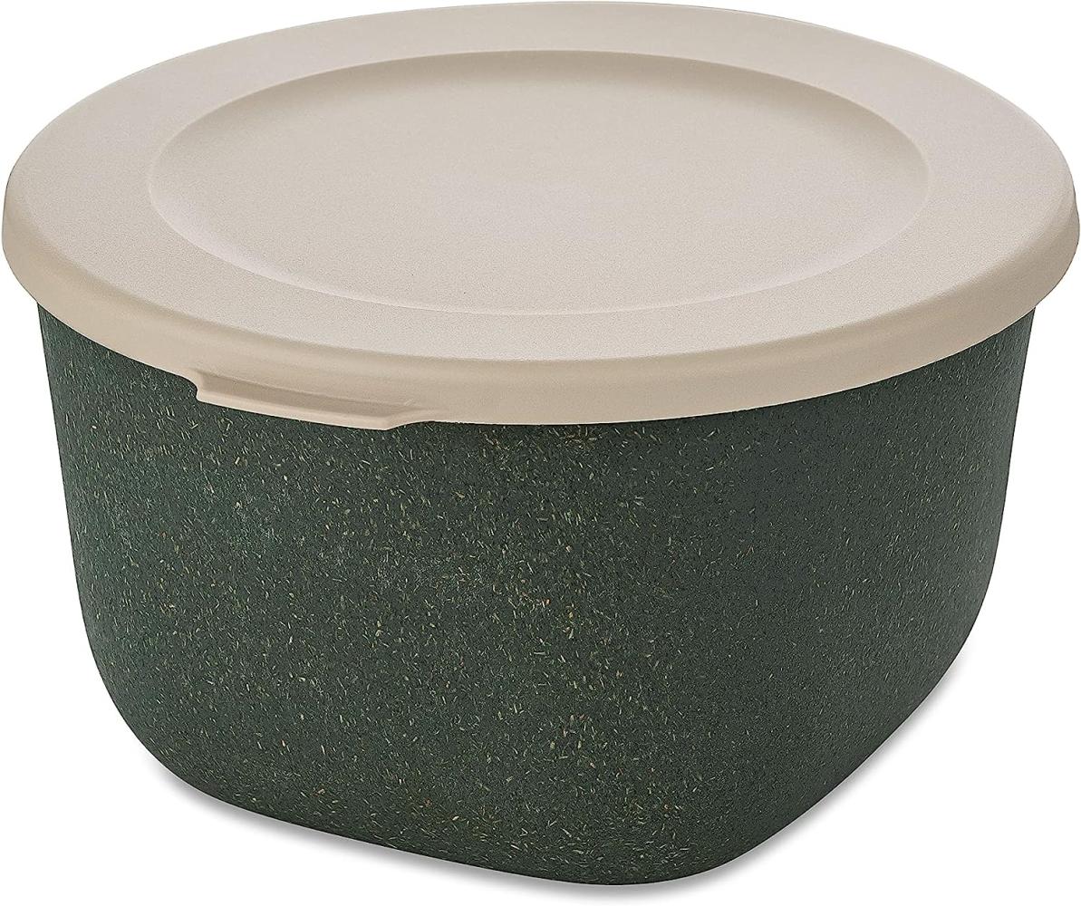 Koziol Dose Connect Box mit Deckel, Schüssel, Schale, Kunststoff-Holz-Mix, Nature Ash Grey, 1 L, 7870701 Bild 1