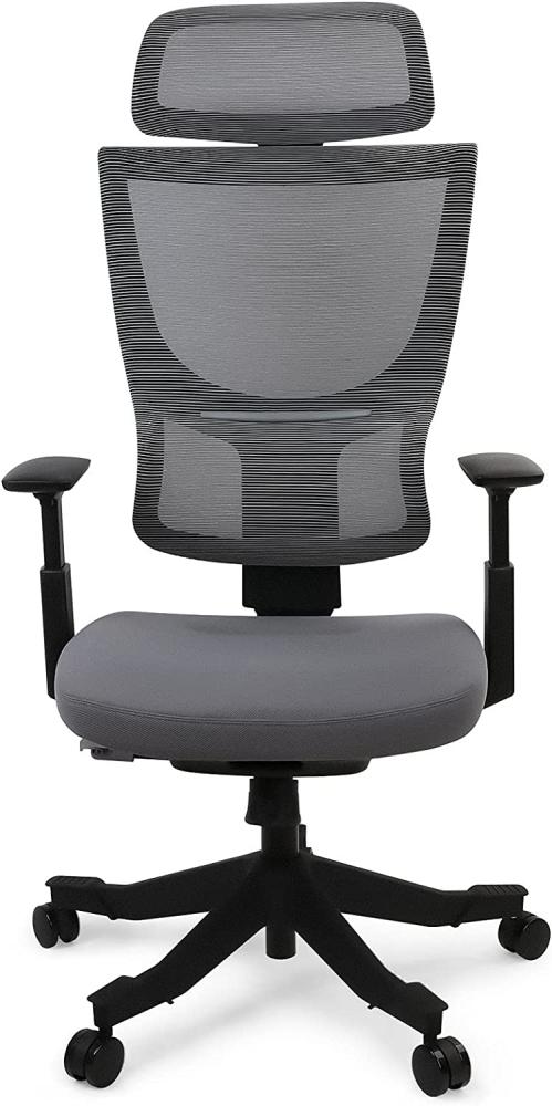 Flexispot BS8 Verstellbare Höhe Verstellbare Design Stuhl BackSupport grau ergonomischer bürostuhl grau(Grau) Bild 1
