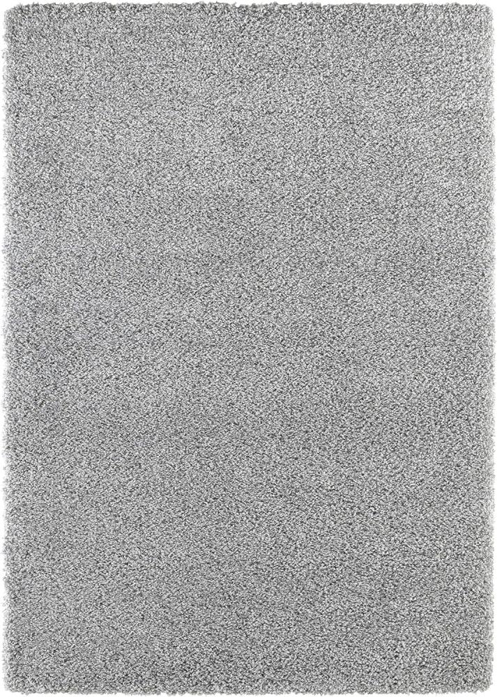 Hochflor Teppich Talence Silbergrau - 200x290x5cm Bild 1