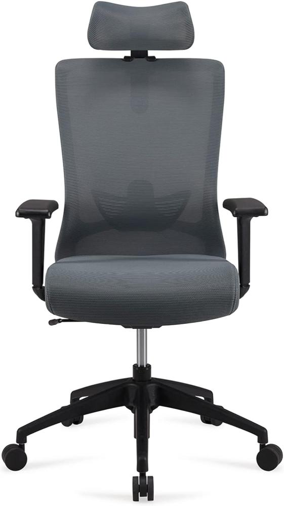 Amazon Marke - Movian ergonomischer Chefsessel mit hoher Rückenlehne und verstellbarer Kopfstütze, Armlehnen und Lendenwirbelstütze, 63 x 59,5 x 124 cm - Grau Bild 1