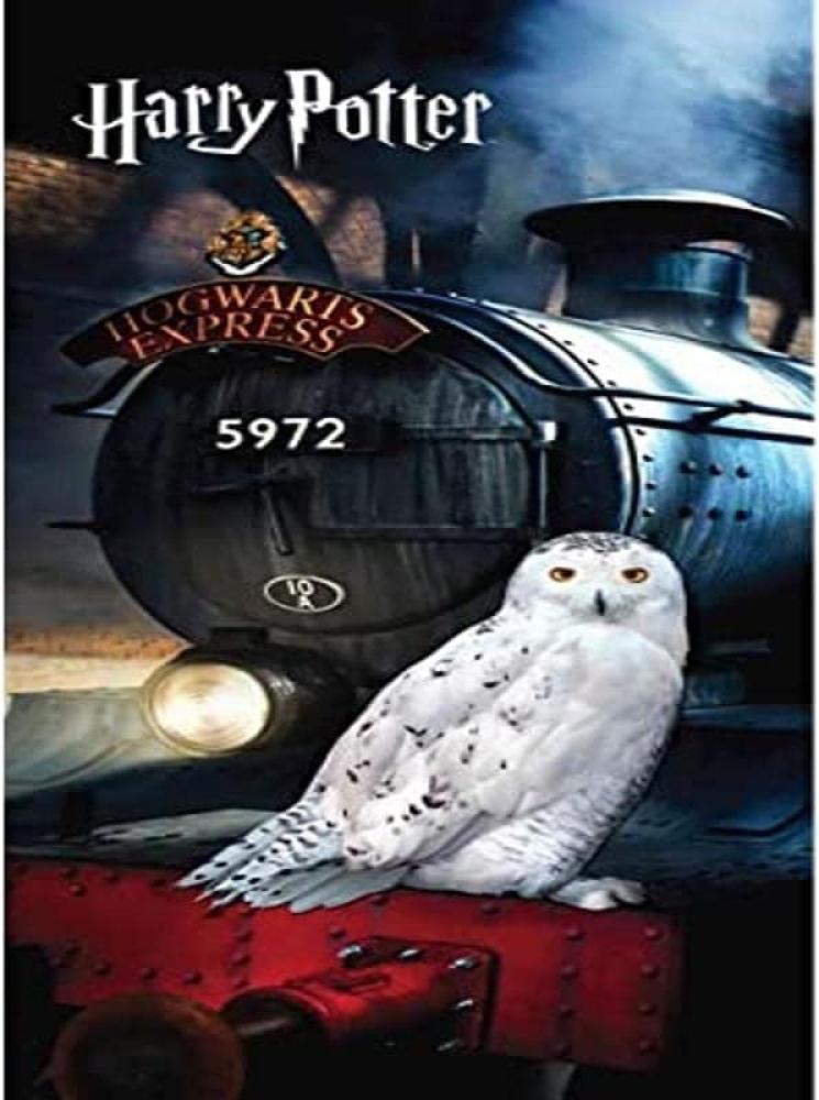 Harry Potter Hogwarts Hedwig Duschtuch Strandtuch Badetuch 70 x 140 cm Bild 1